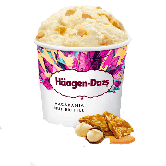 Häagen-Dazs 460ml